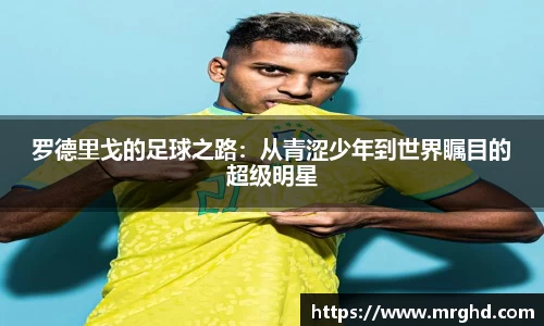 天博